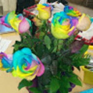 Meet your Posher, Bridget